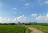 BÁN GẤP mảnh đất 1000m tại Tân Lạc,view cánh đồng,bám đường bê tông 30m,cách ql6 2,5 km,giá 480tr