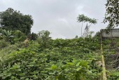 CHỈ HƠN 800 triệu CÓ NGAY 600 m2 full đất vườn ( đất trồng cây lâu năm) thuộc Hoà Sơn, Lương Sơn, Hòa Bình