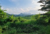 Bán đất Lương Sơn 3634m2 view cánh đồng,vườn cây ao cá giá rẻ nhất khu vực.