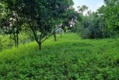 BÁN ĐẤT LƯƠNG SƠN HB BA MẶT TIỀN 6200M CÓ 3000M ĐẤT Ở THỰC TẾ 1,2HA.