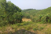 Bán đất Tân Lạc, Hòa Bình, 2.8ha rsx, view thoáng, có thể lên được thổ cư, giá chỉ vài trăm triệu