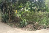 Cần bán đất tại thị trấn Lương Sơn giá rẻ