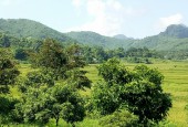 Vị Trí hót nhất Lương Sơn,3634M View ra cánh đồng cực kì thoáng mát,Cách Hà Nội Chỉ 36km.
