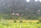 Bán 3000m.150ont đất bám đường 40m ,view cánh đồng núi đá tại Liên Sơn - Lương Sơn - Hòa Bình