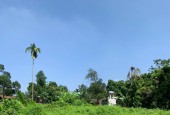 Bán 1700m.200 ont đất view cánh đồng bám đường 40m tại Hoàng Văn Thụ - Chương Mỹ - Hà Nội