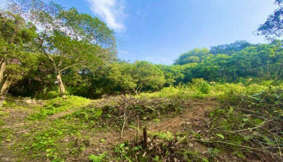Cần bán gấp 1290m2 đất tại Lương Sơn view cánh đồng tuyệt đẹp.
