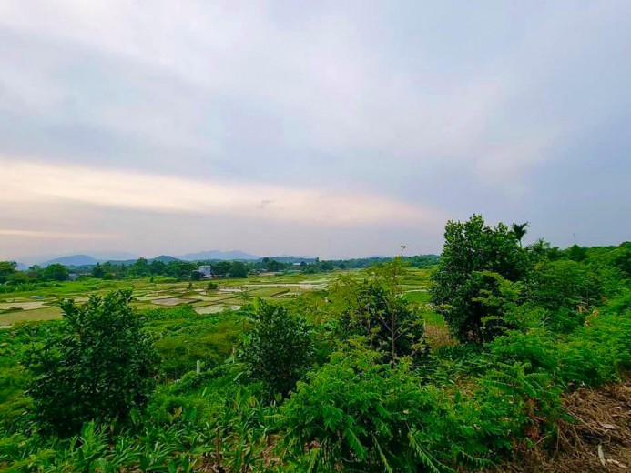 Cần bán gấp 1290m2 đất tại Lương Sơn view cánh đồng tuyệt đẹp.