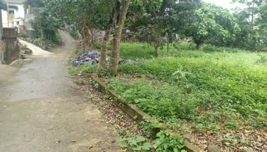 Bán nhanh lô đất dt 1300m thổ cư tại Lương Sơn, sát trục đường chính, giá đầu tư