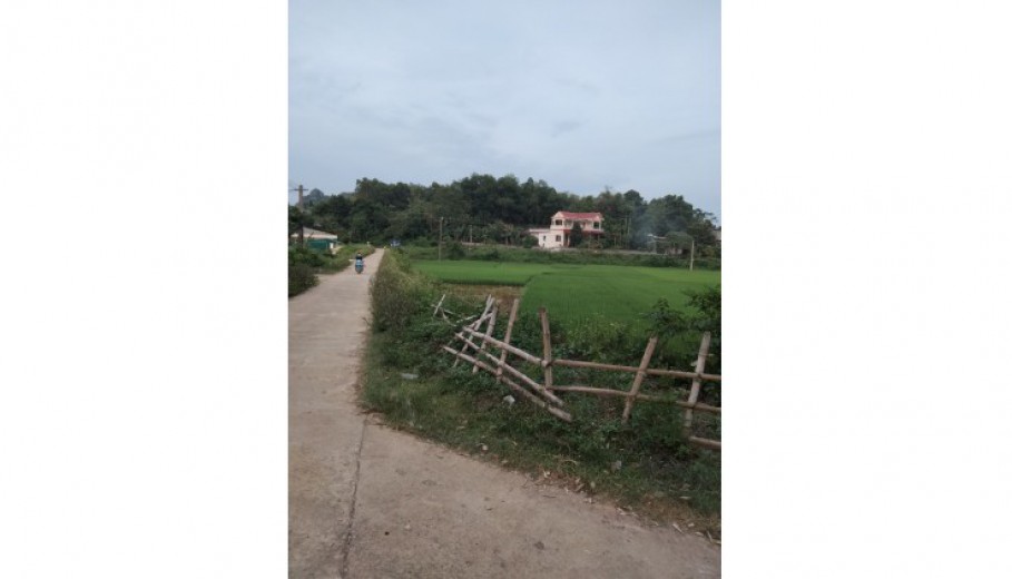 Cần bán 1000m2 hai mặt tiền vuông vắn,view cánh đồng k ai che chắn, đẹp nhất khu vực.