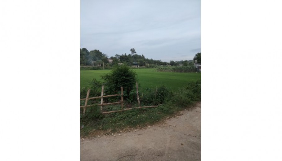 Cần bán 1000m2 hai mặt tiền vuông vắn,view cánh đồng k ai che chắn, đẹp nhất khu vực.