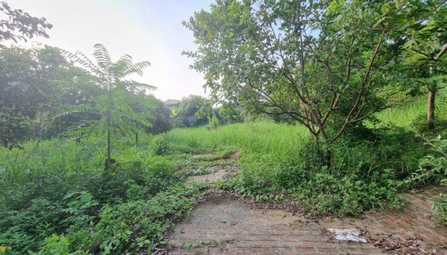 Khuôn viên 3634m có sẵn nhà nghỉ dưỡng, View cánh đồng thoáng mát tại Lương Sơn, Hòa Bình.!