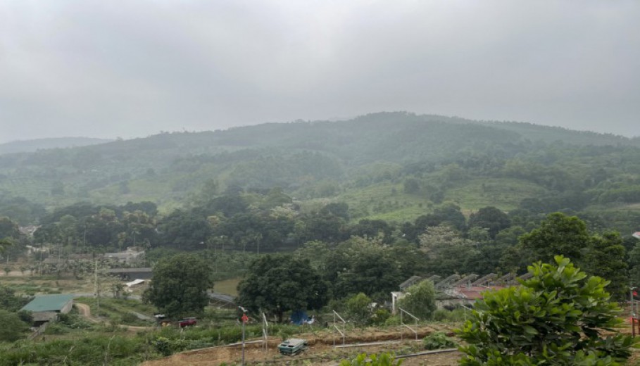 Cần bán gấp lô đất 3,6 ha thổ cư nhà vườn tại Lương Sơn giá rẻ!