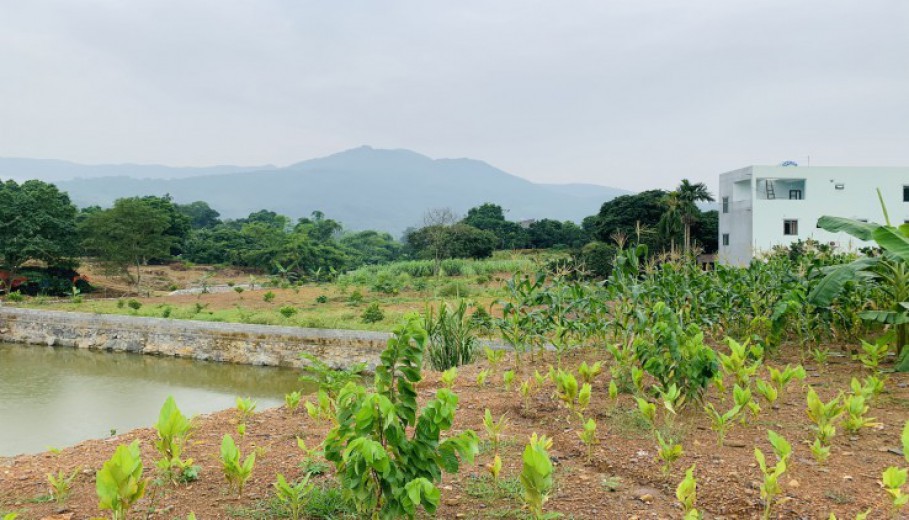 .Bán rẻ 6515m2 khu vực Lõi nghỉ dưỡng,đường to xe 45 chỗ vào. view thoáng tại Cư Yên Lương Sơn!