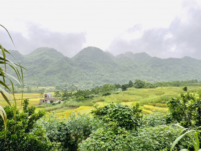 Cần bán nhanh 3500m đất thổ cư tại Kim Bôi giá cực rẻ, view ruộng bậc thang thơ mộng