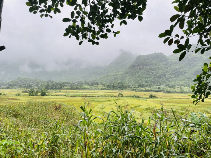 BÁN NHANH 3500M ĐẤT KIM BÔI THỔ CƯ LỚN VIEW CỰC ĐỈNH