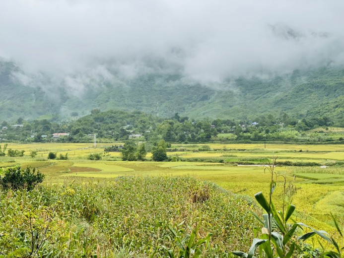 Cần bán nhanh 3500m đất thổ cư tại Kim Bôi giá cực rẻ, view ruộng bậc thang thơ mộng