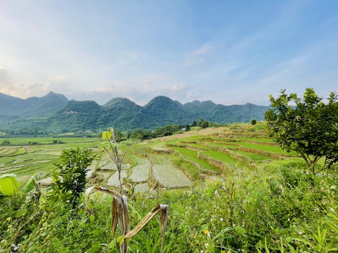 Cần bán nhanh 3500m đất thổ cư tại Kim Bôi giá cực rẻ, view ruộng bậc thang thơ mộng