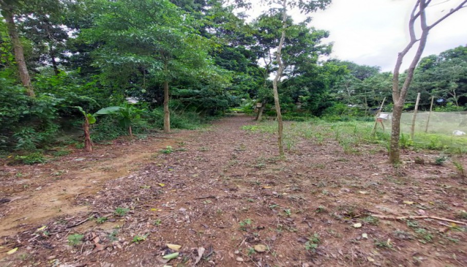 Bán đất Lương Sơn dt gần 1 ha thế đất bằng phẳng giá rẻ.
