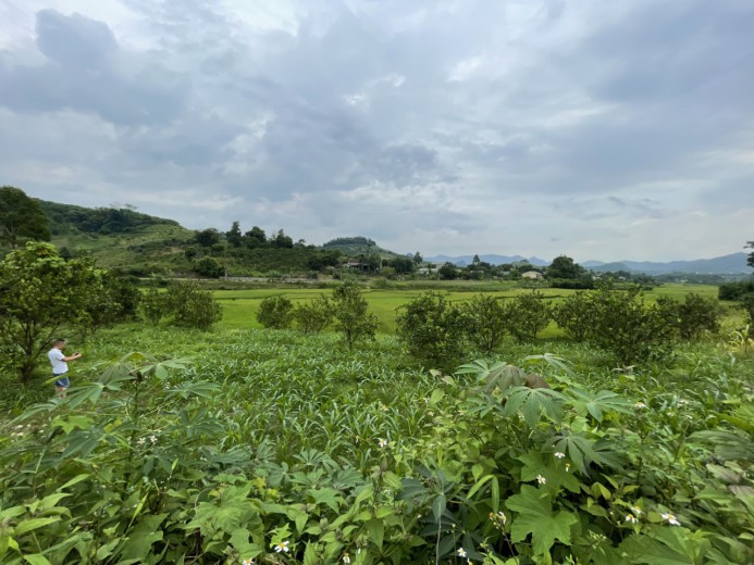 Bán đất Cao Phong giá quá rẻ, gần thị trấn