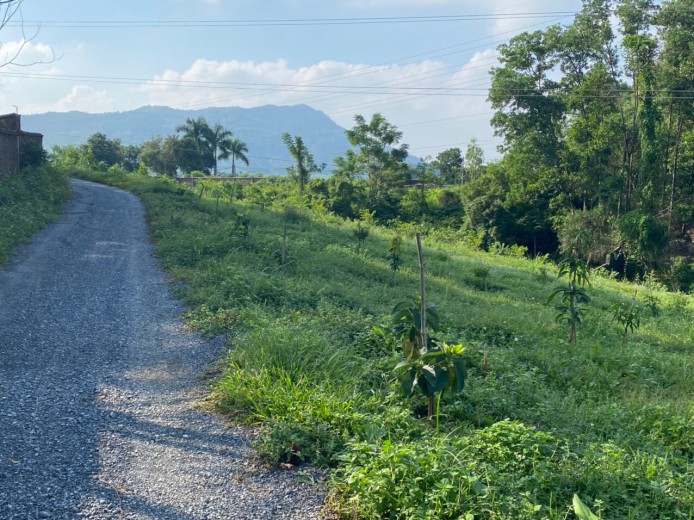 1,2h đất vườn 600m đất ở tại hoà sơn ngay sát hà nội