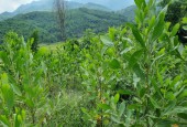 Bán đất nghỉ dưỡng vew tuyệt đỉnh 3 mặt bám cánh đồng tại lương Sơn Hòa Bình!!