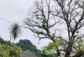 Cần bán đất nghỉ dưỡng tại khu du lịch cộng đồng Thung Nai giá rẻ
