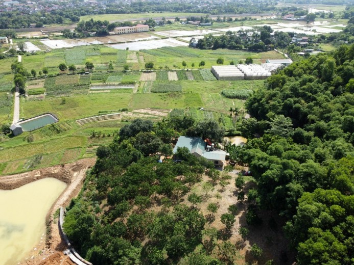 CẦN CHUYỂN NHƯỢNG 1.83HA ĐẤT HỖN HỢP  TẠI  LƯƠNG SƠN - HÒA BÌNH.
