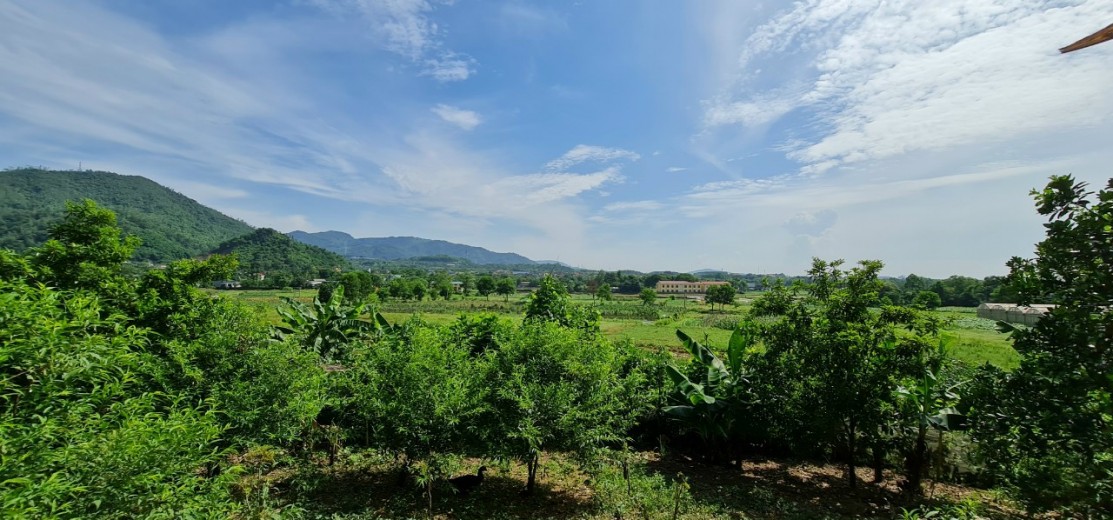 CẦN CHUYỂN NHƯỢNG 1.83HA ĐẤT HỖN HỢP  TẠI  LƯƠNG SƠN - HÒA BÌNH.