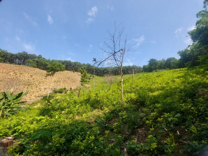 SIÊU PHẨM 6000M TẠI LIÊN SƠN -LƯƠNG SƠN -HB GIÁ NHỈNH 1 TỶ