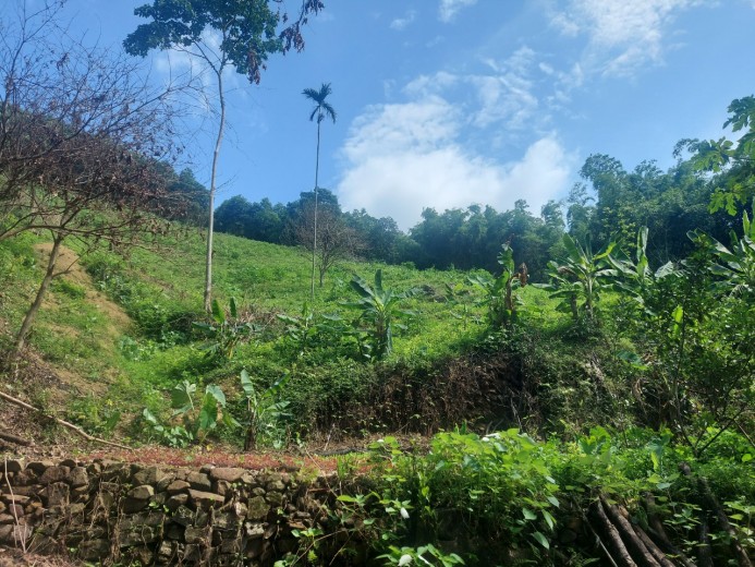 SIÊU PHẨM 6000M TẠI LIÊN SƠN -LƯƠNG SƠN -HB GIÁ NHỈNH 1 TỶ