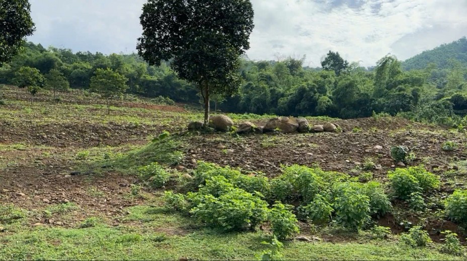 Cần chuyển nhượng lô đất Quốc Oai Hà Nội 10800m view toàn cảnh số 1 nghỉ dưỡng