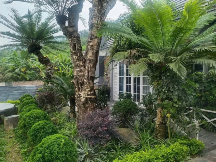 Bán biệt thư víp tại 516m2 Hòa Lạc Phú Mãn Quốc Oai Hà Nội