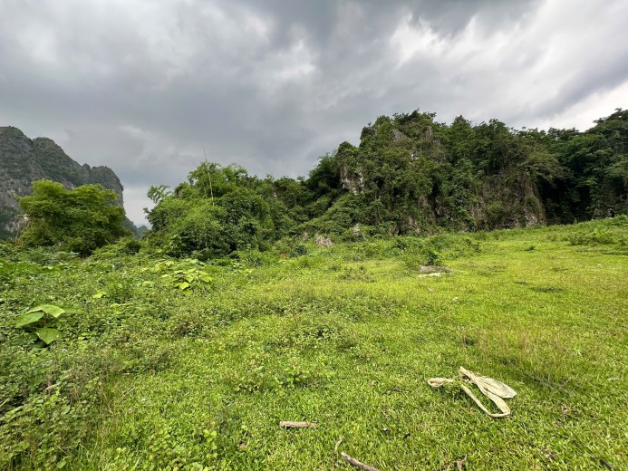 Bán 3600m2 tại Cao Sơn, Lương Sơn, Hòa Bình