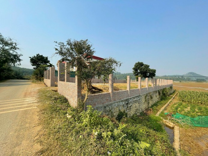Bán 1107m2 mặt đường 446 Yên Bình, Thạch Thất, Hà Nội