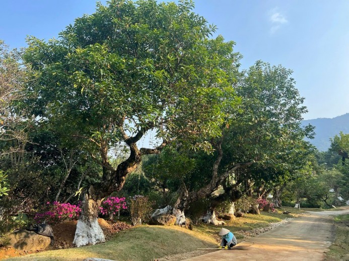 Siêu phẩm 14000m2 Yên Xuân, Thạch Thất, Hà Nội Cần Bán