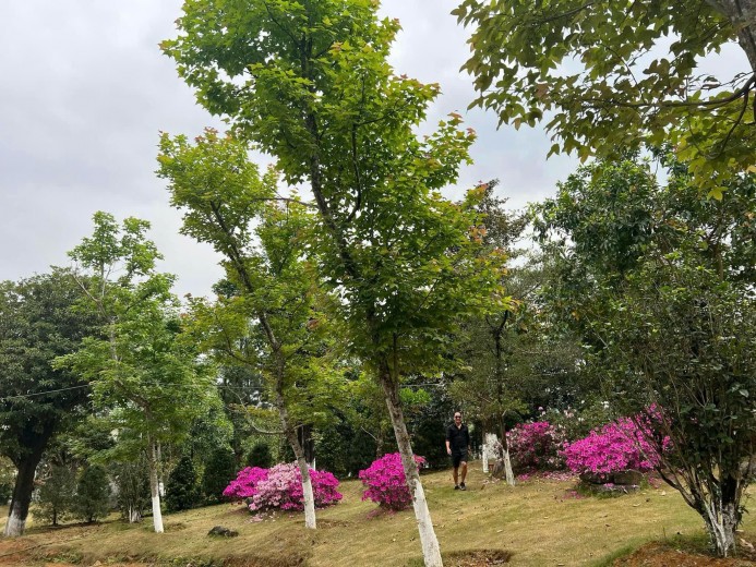Siêu phẩm 14000m2 Yên Xuân, Thạch Thất, Hà Nội Cần Bán