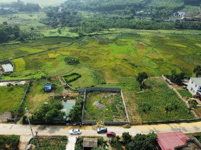 SIÊU PHẨM NGHỈ DƯỠNG! 1148m2 đất nghỉ dưỡng Cư Yên - bám đường lớn - view cánh đồng tuyết đẹp